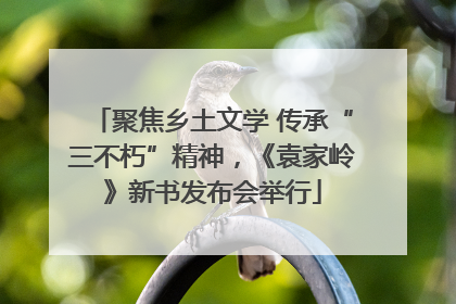 聚焦乡土文学 传承“三不朽”精神，《袁家岭》新书发布会举行