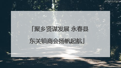 聚乡贤谋发展 永春县东关镇商会扬帆起航