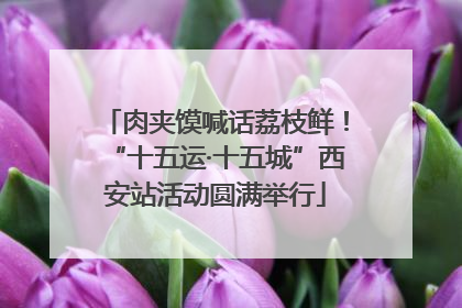 肉夹馍喊话荔枝鲜！“十五运·十五城”西安站活动圆满举行