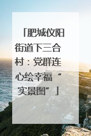 肥城仪阳街道下三合村：党群连心绘幸福“实景图”