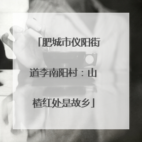 肥城市仪阳街道李南阳村：山楂红处是故乡
