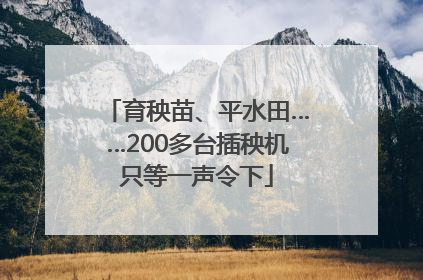 育秧苗、平水田……200多台插秧机只等一声令下
