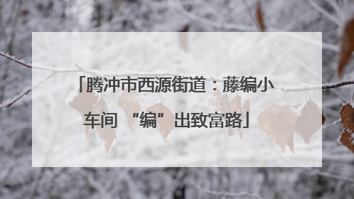 腾冲市西源街道：藤编小车间 “编”出致富路
