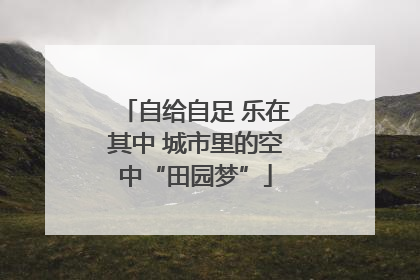 自给自足 乐在其中 城市里的空中“田园梦”