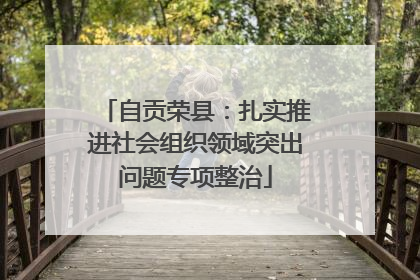 自贡荣县：扎实推进社会组织领域突出问题专项整治