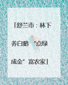 舒兰市：林下养白鹅 “点绿成金”富农家