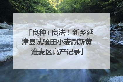 良种+良法！新乡延津县试验田小麦刷新黄淮麦区高产记录