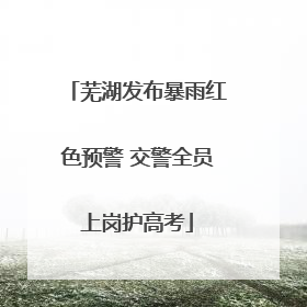 芜湖发布暴雨红色预警 交警全员上岗护高考