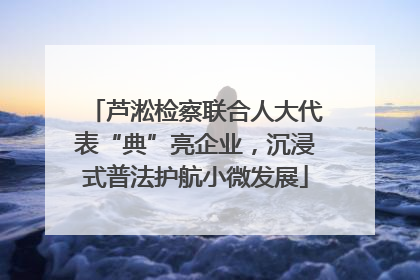 芦淞检察联合人大代表“典”亮企业，沉浸式普法护航小微发展