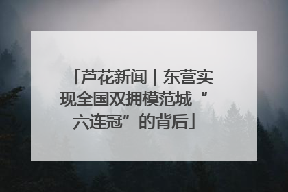 芦花新闻｜东营实现全国双拥模范城“六连冠”的背后