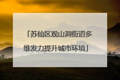 苏仙区观山洞街道多维发力提升城市环境