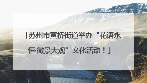 苏州市黄桥街道举办“花语永恒·微景大观”文化活动！
