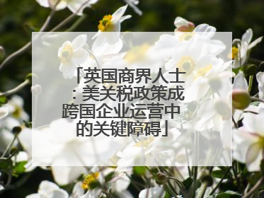 英国商界人士：美关税政策成跨国企业运营中的关键障碍