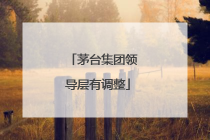 茅台集团领导层有调整