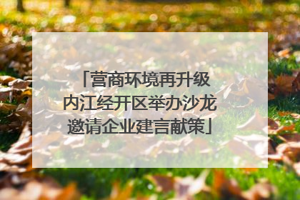 营商环境再升级 内江经开区举办沙龙邀请企业建言献策
