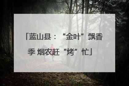 蓝山县：“金叶”飘香季 烟农赶“烤”忙