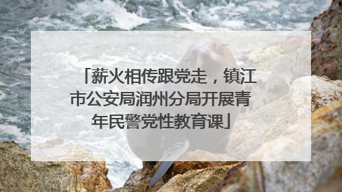 薪火相传跟党走，镇江市公安局润州分局开展青年民警党性教育课