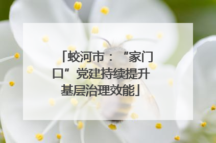 蛟河市：“家门口”党建持续提升基层治理效能