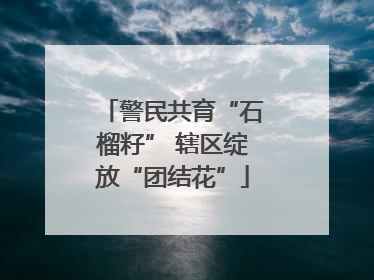 警民共育“石榴籽” 辖区绽放“团结花”