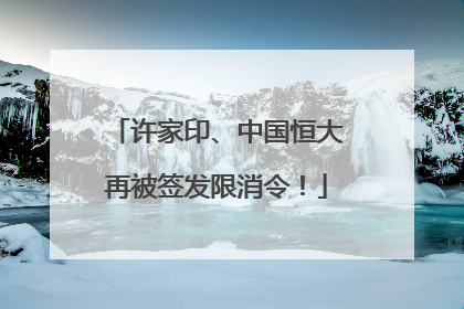 许家印、中国恒大再被签发限消令！