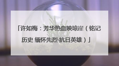许如梅：芳华热血映琼崖（铭记历史 缅怀先烈·抗日英雄）
