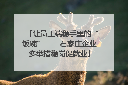 让员工端稳手里的“饭碗”——石家庄企业多举措稳岗促就业