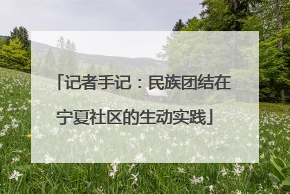 记者手记：民族团结在宁夏社区的生动实践