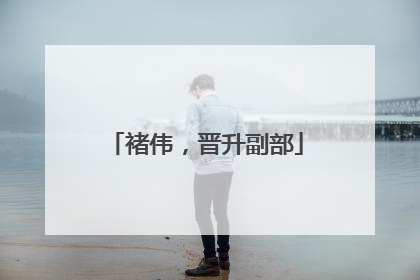 褚伟，晋升副部