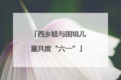 西乡娃与困境儿童共度“六一”