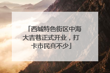 西城特色街区中海大吉巷正式开业，打卡市民真不少