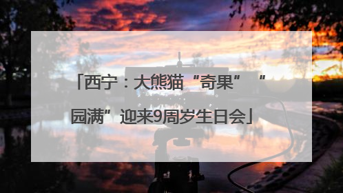 西宁：大熊猫“奇果”“园满”迎来9周岁生日会
