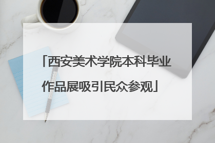 西安美术学院本科毕业作品展吸引民众参观