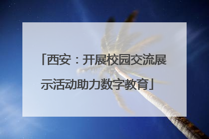 西安：开展校园交流展示活动助力数字教育
