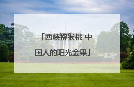 西峡猕猴桃 中国人的阳光金果
