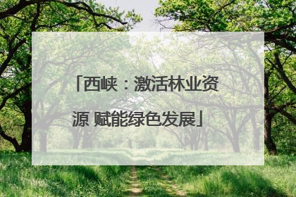 西峡：激活林业资源 赋能绿色发展