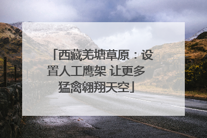 西藏羌塘草原：设置人工鹰架 让更多猛禽翱翔天空
