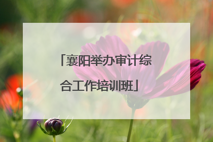 襄阳举办审计综合工作培训班