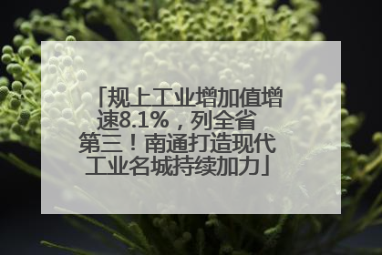 规上工业增加值增速8.1%，列全省第三！南通打造现代工业名城持续加力