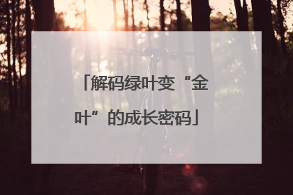 解码绿叶变“金叶”的成长密码