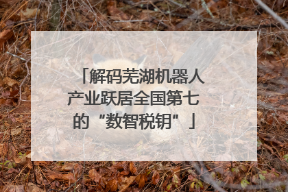 解码芜湖机器人产业跃居全国第七的“数智税钥”