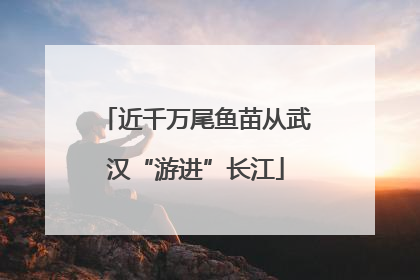 近千万尾鱼苗从武汉“游进”长江