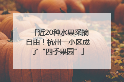 近20种水果采摘自由！杭州一小区成了“四季果园”