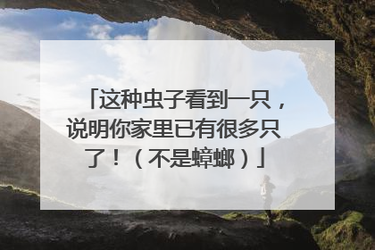 这种虫子看到一只，说明你家里已有很多只了！（不是蟑螂）