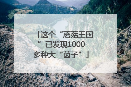 这个“蘑菇王国”已发现1000多种大“菌子”
