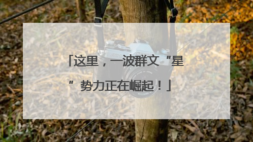 这里，一波群文“星”势力正在崛起！