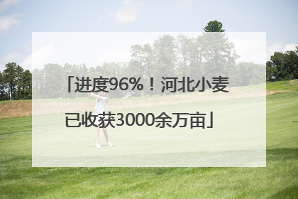 进度96%！河北小麦已收获3000余万亩