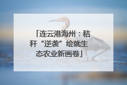 连云港海州：秸秆“逆袭”绘就生态农业新画卷