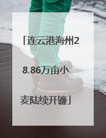 连云港海州28.86万亩小麦陆续开镰