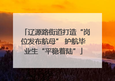 辽源路街道打造“岗位发布航母” 护航毕业生“平稳着陆”