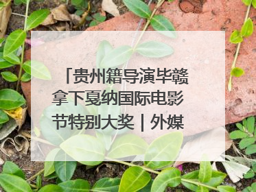 贵州籍导演毕赣拿下戛纳国际电影节特别大奖｜外媒点赞：奇妙而广阔的纯粹电影梦